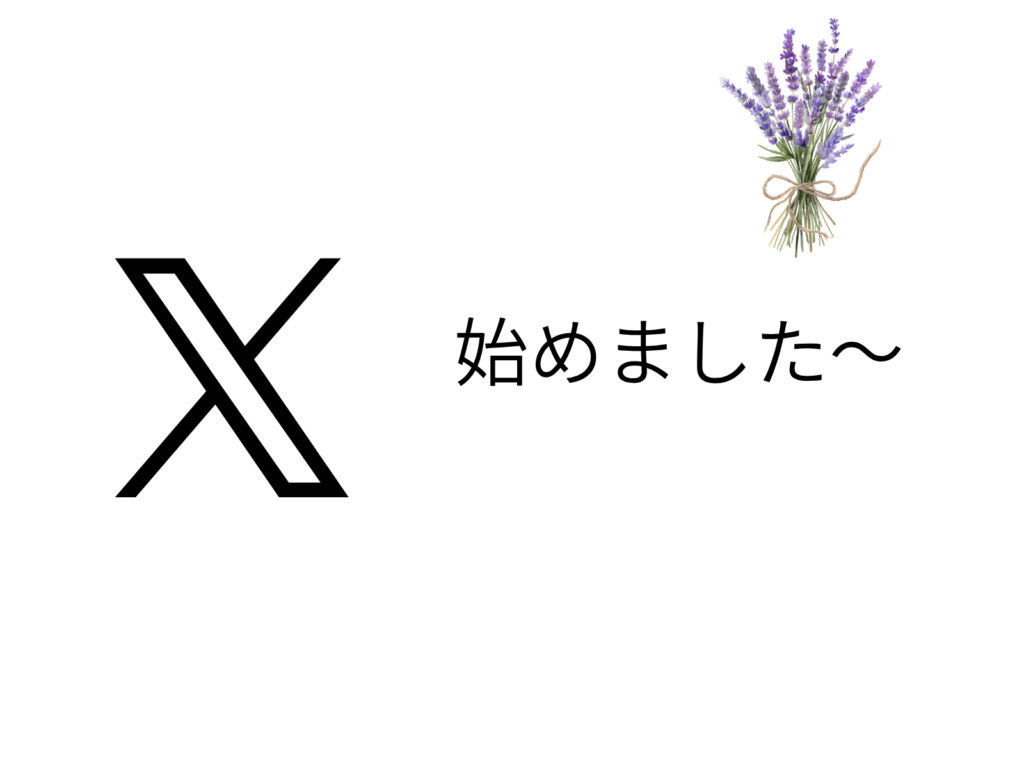 shizuki-start-x